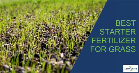 100% Grass Starter Fertilizer Guide for Your Lawn's Success