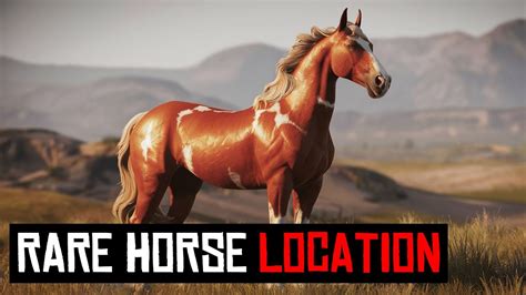 100% Guaranteed RDR2 Best Horse Locations