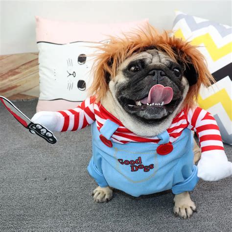 100% Un-leashed: The Ultimate Guide to Dog Costumes for Large Dogs