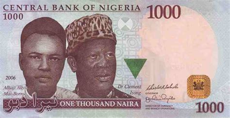 100,000 Naira to Dollars: A Comprehensive Guide to Currency Conversion in Nigeria