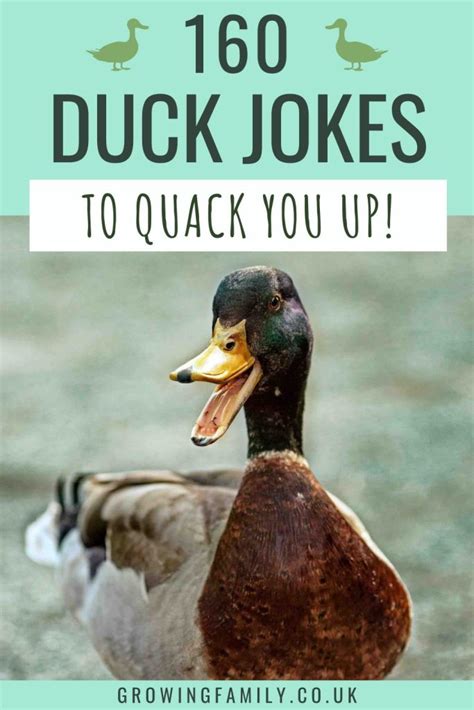 100 Dad Jokes That'll Make Your Duck Blind Buddies Quack Up