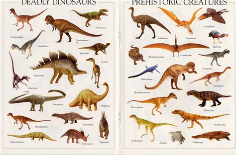 100 Dinosaur Images with Names for Kids, A-Z