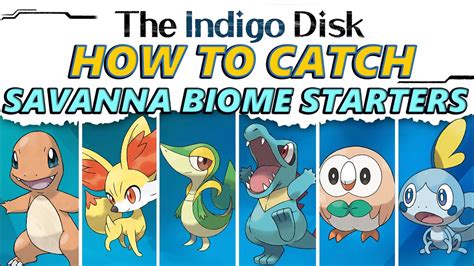 100 Savanna Biome Starters for Your Next Adventure