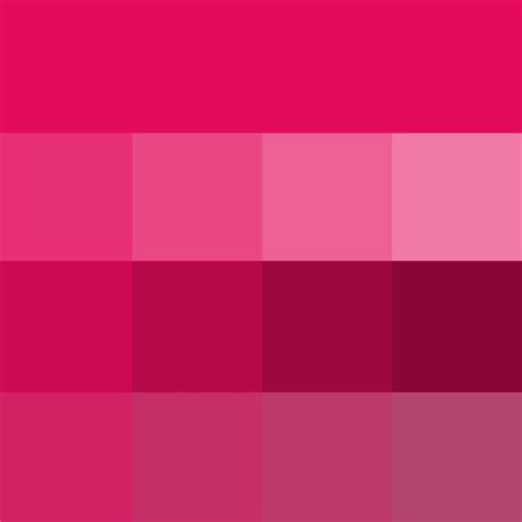 1000+ Shades of Raspberry Pink: A Comprehensive Exploration of the Enchanting Hue