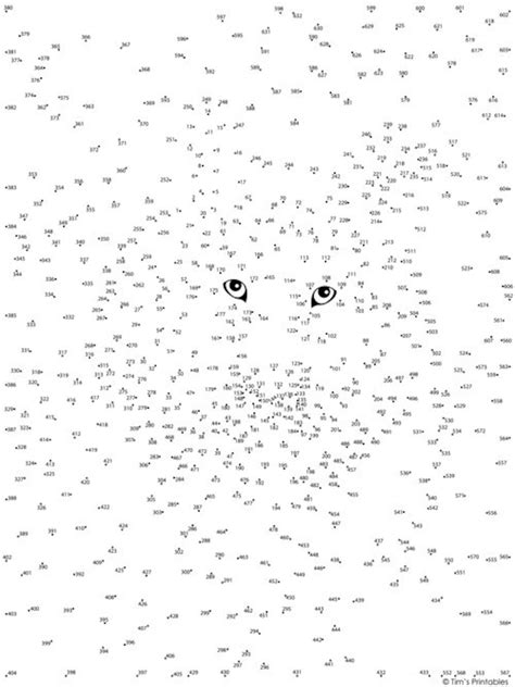 1000 Dot-to-Dot Animals Reader