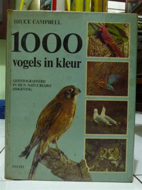 1000 vogels in kleur gefografeerd in hun natuurlijke omgeving PDF