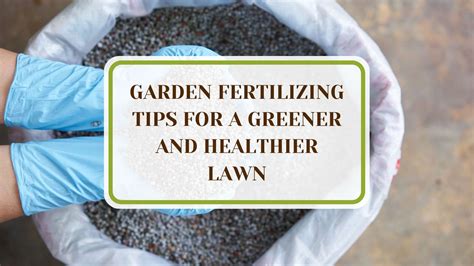 10000+ Savia Fertilizing Tips You Can't Miss