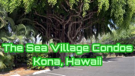 10000 Reasons to Live at Kona by the Sea