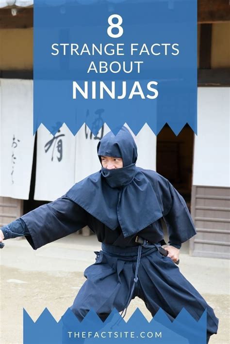 10000 Surprising Facts About Ninjas