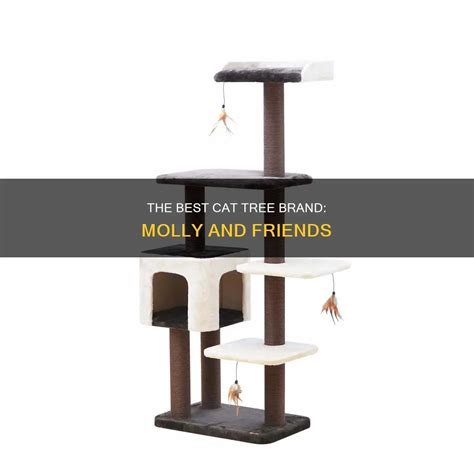 10000 Surprising Ways to Use the Molly and Friends Cat Tree