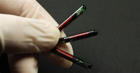 100000 / 333000000: Uncovering the Vast Potential of Microchipping Humans