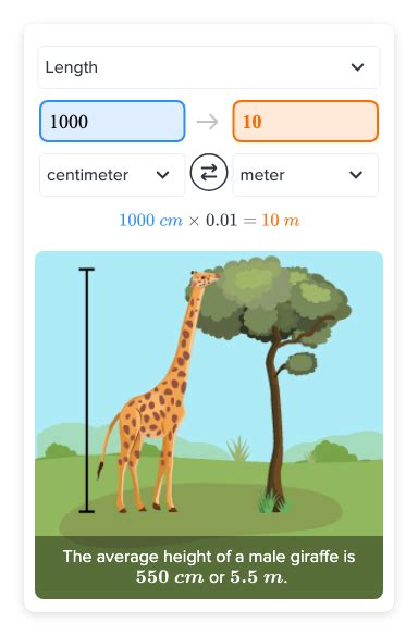 1000cm in metres: A Comprehensive Explanation