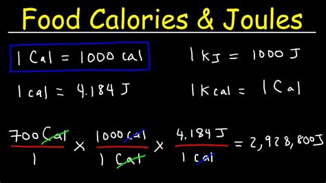 1000kJ to Calories: The Complete Guide