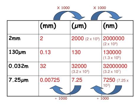 1000um to mm: Breaking Down the Microscopic World