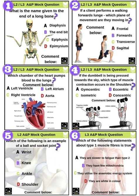 1001 Anatomy and Physiology Practice Test Questions to Ace Your Exams