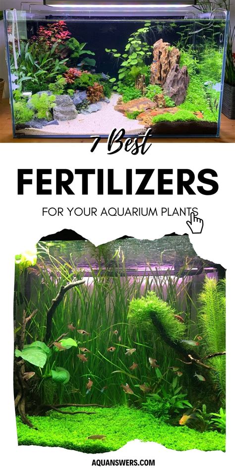 1001 Plant Aquarium Fertilizer Tips and Tricks