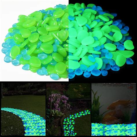 1001 Stones That Glow in the Dark: A Luminous Guide to Nature's Nightlights