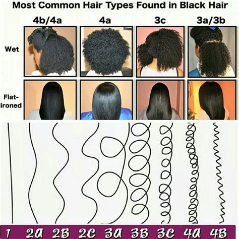 1001 Things You Need to Know About Afro Curly Hair