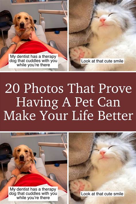 1001 Ways Dogs Can Make Your Life Better