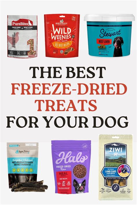 101 Amazing Plato Freeze-Dried Dog Treats for 2025 and Beyond