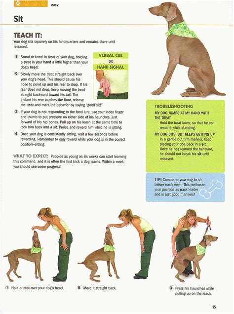 101 Dog Tricks Step by Step Activities to Engage PDF