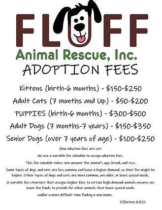 101 Fluff Animal Rescue: Providing Sanctuary and Hope for Abandoned Animals