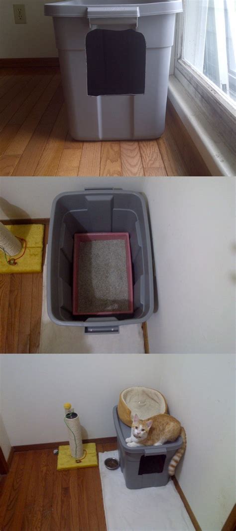 101 Litter Box Enclosures: Design and Style for 2025