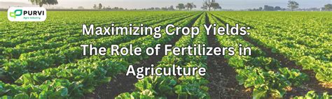 101 Mineral Fertilizers: The Key to Maximizing Crop Yield