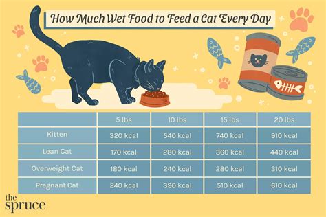 101 Secrets to Feeding Your Cat Healthy Canned Food: A Comprehensive Guide