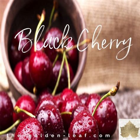 101 Ways to Use Black Cherry for a Healthier Life