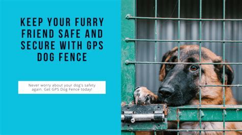 101 Yard Fences for Dogs: The Ultimate Guide to Keeping Your Furry Friend Safe and Secure