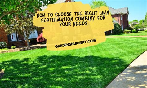 101 Yard Fertilization Companies: Find Your Perfect Match