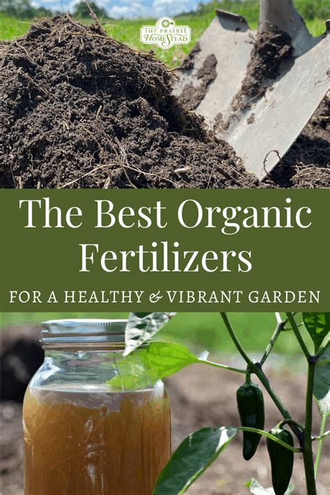 10101+ Organic Fertilizers for Vegetables