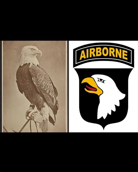 101st Airborne Shirt: Embodying Courage, History, and Unwavering Spirit