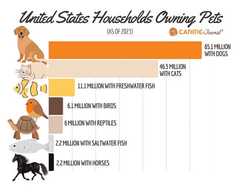 102.1 Million Households Own Pets in the US