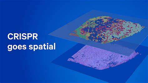 10x Genomics Stock: A Deep Dive into the CRISPR Innovator