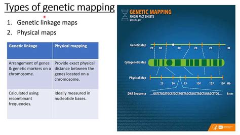 11 5 Linkage Gene Maps Answers Epub