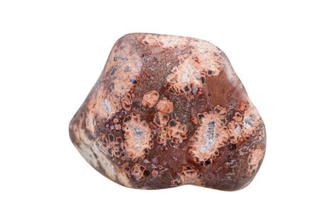 11 Astonishing Leopard Jasper Crystal Meanings: Unlock Your Inner Strength & Resilience