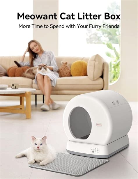 11 Meowant Litter Box Reviews: Finding the Purrfect Fit for Your Feline Friend