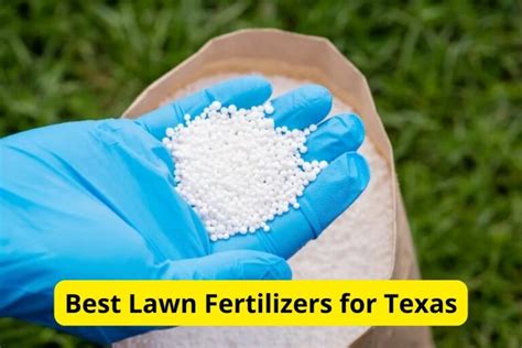 11 Must-Know Facts About Texas Turf Lawn Fertilizer