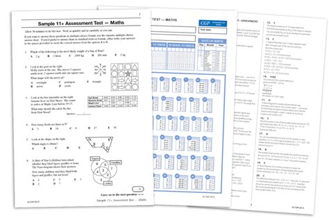 11 practice papers free Reader