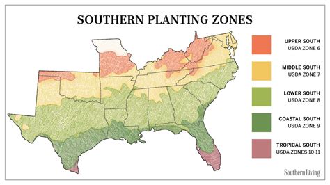 11. Peanut Zone: