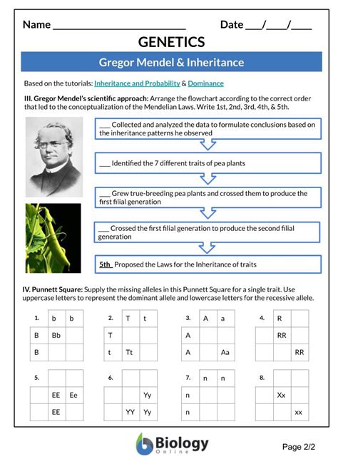 112 applying mendel principles worksheet answers PDF