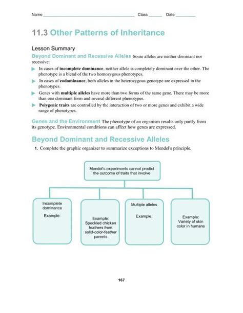 113 Other Patterns Of Inheritance Worksheet Answer Key Doc