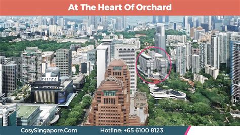 113 Somerset Road: A Comprehensive Guide to Living in the Heart of Orchard Road