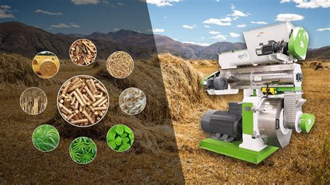 12,000-Word Guide to Pellet Maker Machines: Unlock Your Business Potential