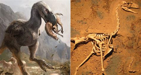 12,000-Word Master Class on Prehistoric Predation