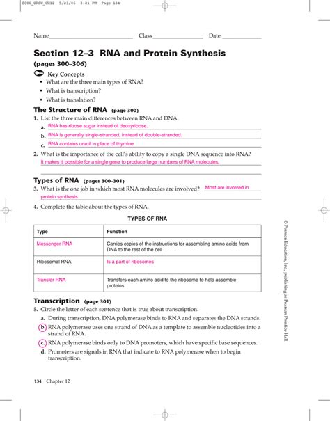 12 3 Rna And Protein Synthesis Answer Key Doc