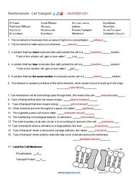 12 4 review and reinforcement answer key PDF