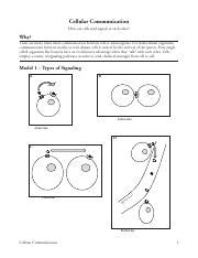 12 Cellular Communication Pogil Answer Key Doc